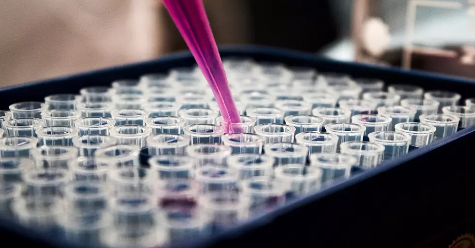 Pfizer Is Now Developing A COVID-19 Pill