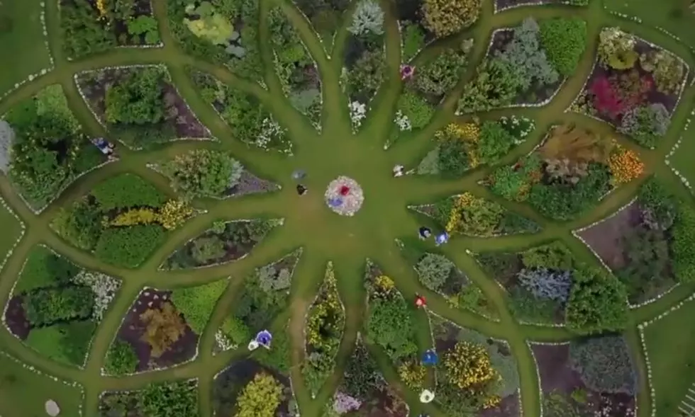 Summer Road Trip – Michigan’s Lavender Labyrinth
