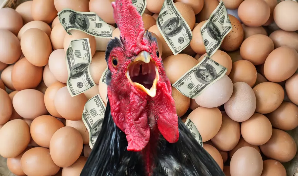 Egg Prices Soar To $7 A Dozen At Grand Rapids Meijer