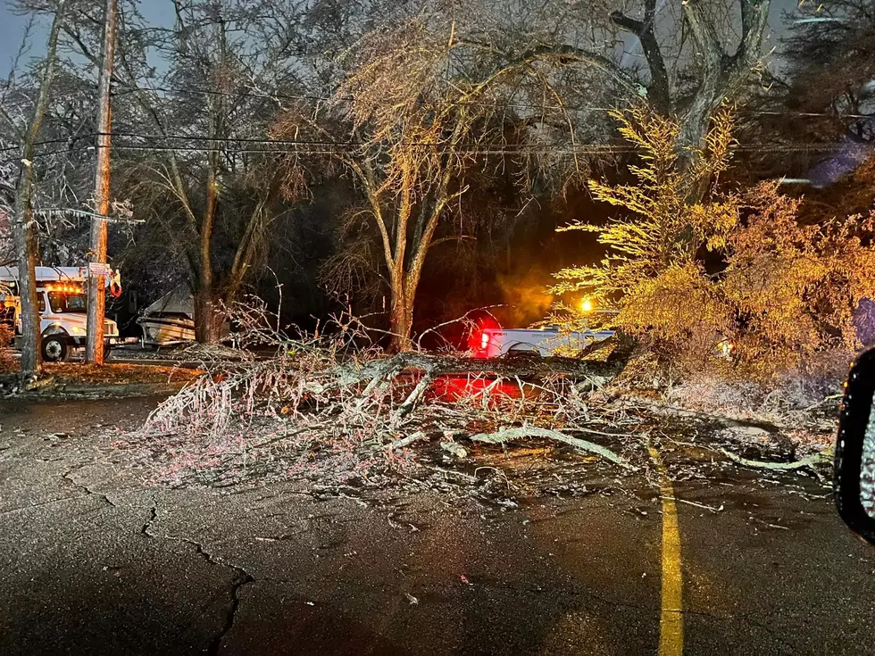 West Michigan Ice Storm Brings Beauty & Carnage To Kalamazoo