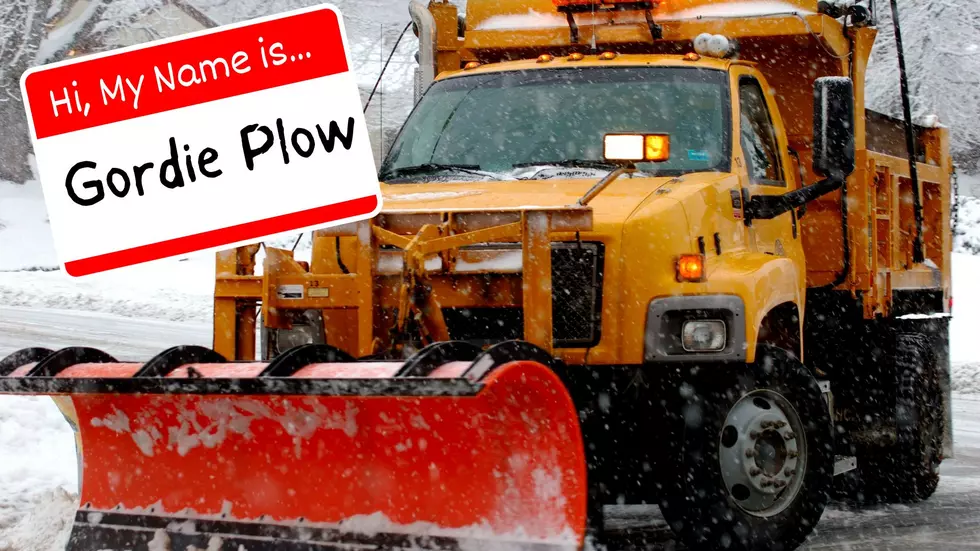 Michigan’s Best Names for The 2023 Snowplow Fleet
