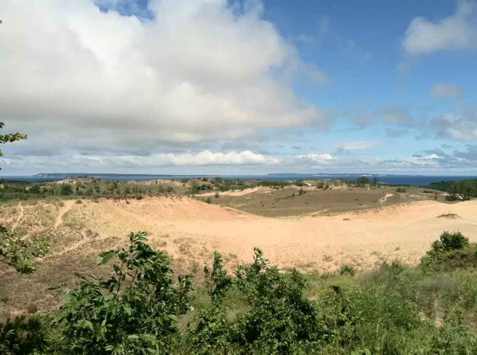 Michigan May Tear Down Thousands of Trees At Sleeping Bear Sand Dunes