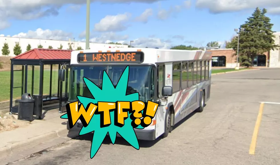 Michigan’s Crossroads Mall Owners Under Fire For Removing Mall Bus Shelter
