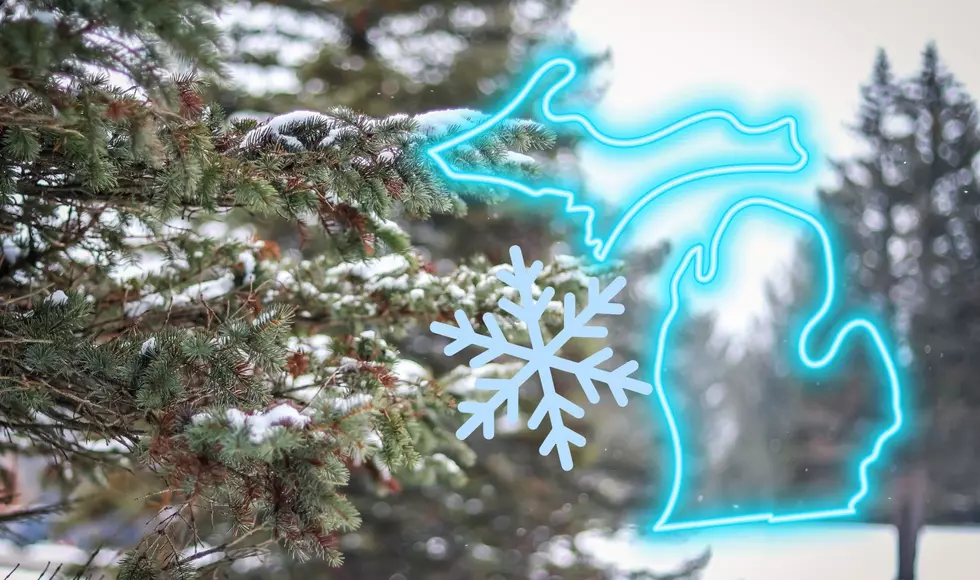 It’s Official, It’s Snowing In Michigan, We Just Got Our First Accumulating Snowfall