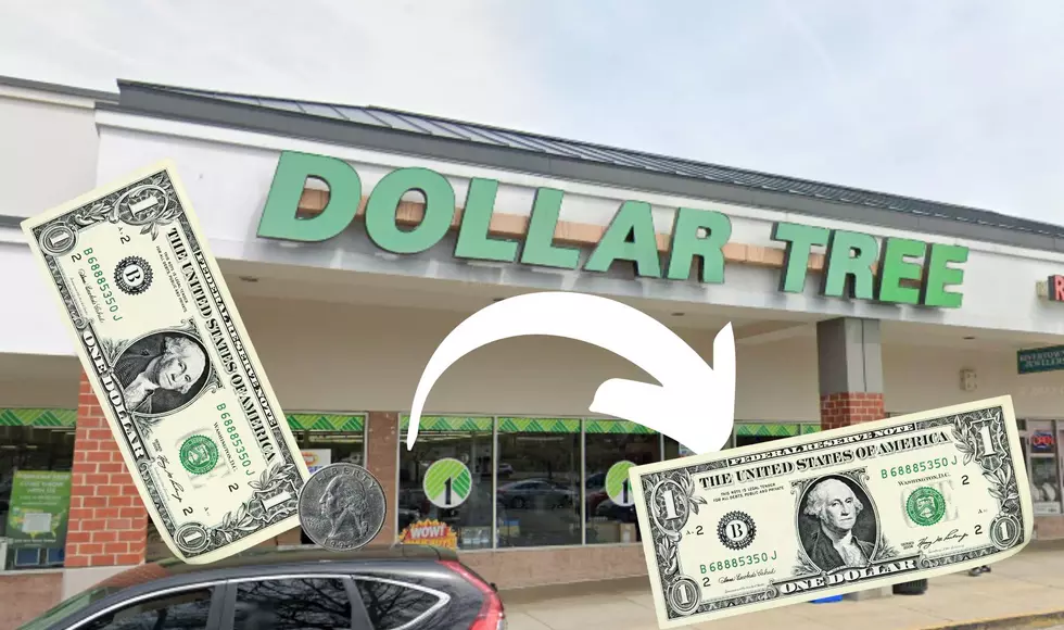 $1 Prices Could Be Returning To Michigan Dollar Trees After Billion Dollar Family Dollar Sale