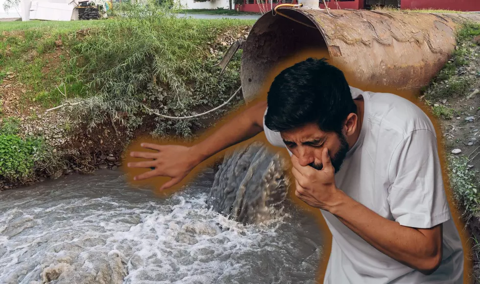 Two Michigan Lakes Contaminated With 87,400 Gallons of Raw Sewage