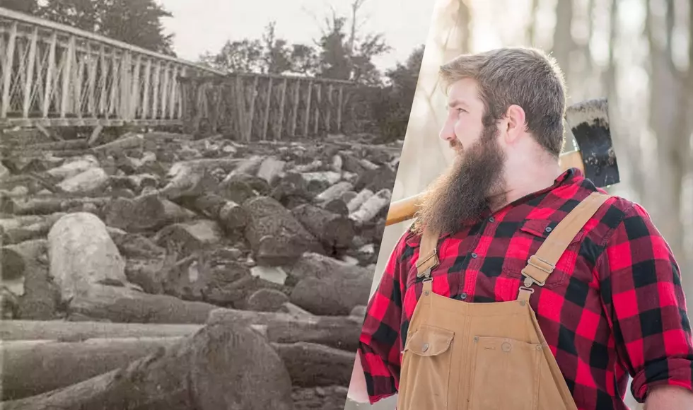 Michigan’s Historic Log Jam Nearly Sank The Furniture Industry